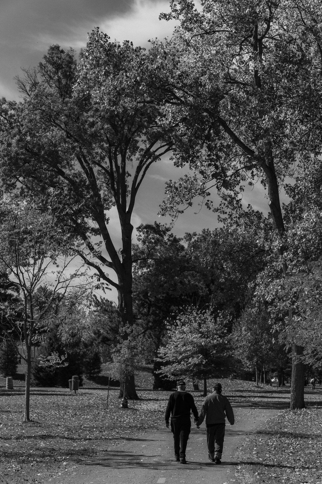 couple walking in park